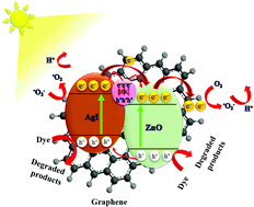 Graphical abstract: Graphene-based plasmonic nanocomposites for highly enhanced solar-driven photocatalytic activities