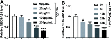 Graphical abstract: Retracted Article: LncRNA NEXN-AS1 attenuates proliferation and migration of vascular smooth muscle cells through sponging miR-33a/b