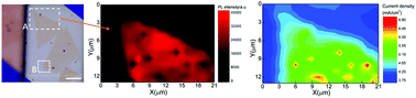 Graphical abstract: Layer dependence of the photoelectrochemical performance of a WSe2 photocathode characterized using in situ microscale measurements