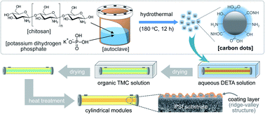 Graphical abstract: Influence of nitrogen/phosphorus-doped carbon dots on polyamide thin film membranes for water vapor/N2 mixture gas separation