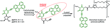 Graphical abstract: Ramified derivatives of 5-(perylen-3-ylethynyl)uracil-1-acetic acid and their antiviral properties