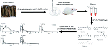 Graphical abstract: A selective and sensitive UFLC-MS/MS method for the simultaneous determination of five alkaloids from Piper longum L. and its application in the pharmacokinetic study of 6-OHDA-induced Parkinson's disease rats