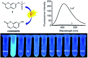 Graphical abstract: A novel fluorescent off–on probe for the sensitive and selective detection of fluoride ions