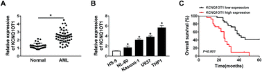 Graphical abstract: Retracted Article: Long non-coding RNA KCNQ1OT1 regulates cell proliferation, apoptosis and chemo-sensitivity through modulating the miR-186-5p/NCAM1 axis in acute myeloid leukemia cells