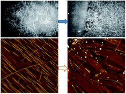 Graphical abstract: Monolayer formed by l-Asp-based gemini surfactants self-assembled in 1D nanostructures