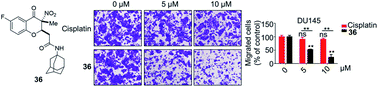 Graphical abstract: Synthesis and biological evaluation of 3-nitro-4-chromanone derivatives as potential antiproliferative agents for castration-resistant prostate cancer