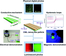 Graphical abstract: Electrospun Janus-like pellicle displays coinstantaneous tri-function of aeolotropic conduction, magnetism and luminescence