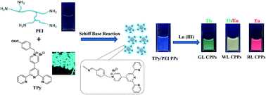 Graphical abstract: Water-soluble lanthanide coordination polymers particles with white-light emission and color tuning