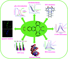 Graphical abstract: Seven membered chelate Pt(ii) complexes with 2,3-di(2-pyridyl)quinoxaline ligands: studies of substitution kinetics by sulfur donor nucleophiles, interactions with CT-DNA, BSA and in vitro cytotoxicity activities