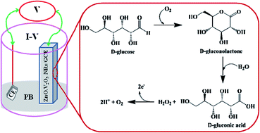 Graphical abstract: d-Glucose sensor based on ZnO·V2O5 NRs by an enzyme-free electrochemical approach