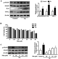 Graphical abstract: Nifuroxazide ameliorates lipid and glucose metabolism in palmitate-induced HepG2 cells