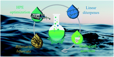 Graphical abstract: High pressure extraction of bioactive diterpenes from the macroalgae Bifurcaria bifurcata: an efficient and environmentally friendly approach