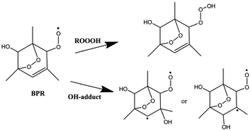 Graphical abstract: Mechanism and kinetics of the atmospheric reaction of 1,3,5-trimethylbenzene bicyclic peroxy radical with OH