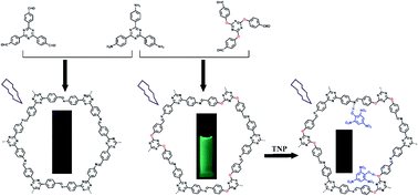 Graphical abstract: Construction of a flexible covalent organic framework based on triazine units with interesting photoluminescent properties for sensitive and selective detection of picric acid