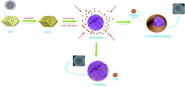 Graphical abstract: Constructing ZIF-8 derived C–ZnS/ZnMoO4@MoS2 and C–ZnS/MoS2 nanocomposites using a simple one-pot strategy to enhance photocatalytic degradation activity