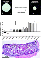 Graphical abstract: A salt-based method to adapt stiffness and biodegradability of porous collagen scaffolds