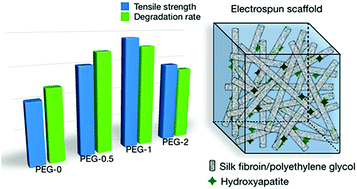 Graphical abstract: Effects of polyethylene glycol content on the properties of a silk fibroin/nano-hydroxyapatite/polyethylene glycol electrospun scaffold