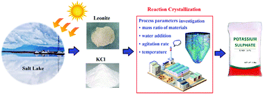 Graphical abstract: Process parameter sensitivity investigation on the reaction crystallization production of K2SO4 with salt lake leonite ore