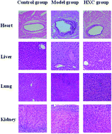 Graphical abstract: Retracted Article: A high-throughput metabolomics strategy for discovering the influence of differential metabolites and metabolic pathways of huaxian capsules on sepsis-associated Qi deficiency and blood stasis syndrome