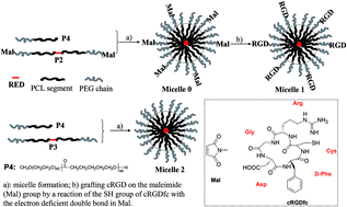 Graphical abstract: cRGD functionalized 2,1,3-benzothiadiazole (BTD)-containing two-photon absorbing red-emitter-conjugated amphiphilic poly(ethylene glycol)-block-poly(ε-caprolactone) for targeted bioimaging