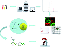 Graphical abstract: Metabolomics biotechnology, applications, and future trends: a systematic review