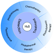 Graphical abstract: Recent progress in H2S activated diagnosis and treatment agents