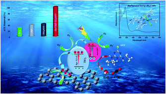 Graphical abstract: A new Ru(ii) polypyridyl complex as an efficient photosensitizer for enhancing the visible-light-driven photocatalytic activity of a TiO2/reduced graphene oxide nanocomposite for the degradation of atrazine: DFT and mechanism insights
