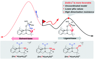 Graphical abstract: Unraveling mechanisms of the uncoordinated nucleophiles: theoretical elucidations of the cleavage of bis(p-nitrophenyl) phosphate mediated by zinc-complexes with apical nucleophiles