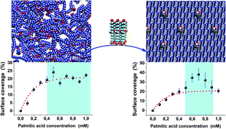 Graphical abstract: Understanding segregation processes in SAMs formed by mixtures of hydroxylated and non-hydroxylated fatty acids