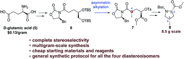 Graphical abstract: Highly stereoselective gram scale synthesis of all the four diastereoisomers of Boc-protected 4-methylproline carboxylates