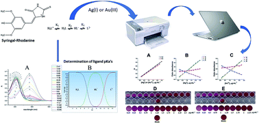 Graphical abstract: Development of a selective and sensitive colour reagent for gold and silver ions and its application to desktop scanner analysis