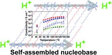 Graphical abstract: Synthesis of self-assembled nucleobases and their anhydrous proton conductivity