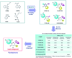 Graphical abstract: 3(2H)-pyridazinone derivatives: a new scaffold for novel plant activators