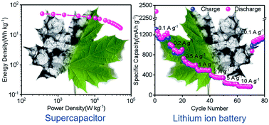 Graphical abstract: Dual-doped hierarchical porous carbon derived from biomass for advanced supercapacitors and lithium ion batteries