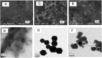 Graphical abstract: Electrochemical determination of tetrabromobisphenol A in water samples based on a carbon nanotubes@zeolitic imidazole framework-67 modified electrode