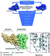 Graphical abstract: In silico study on identification of novel MALT1 allosteric inhibitors
