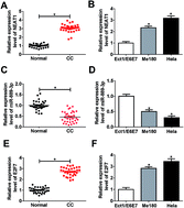 Graphical abstract: Retracted Article: Long non-coding RNA NEAT1 accelerates cell progression in cervical cancer by regulating the miR-889-3p/E2F7 axis through the activation of the PI3K/AKT pathway