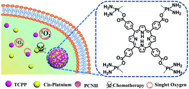 Graphical abstract: A novel drug–drug nanohybrid for the self-delivery of porphyrin and cis-platinum