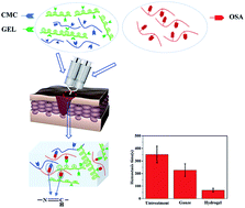 Graphical abstract: Injectable drug-loaded polysaccharide hybrid hydrogels for hemostasis
