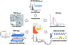 Graphical abstract: Use of flow field-flow fractionation and single particle inductively coupled plasma mass spectrometry for size determination of selenium nanoparticles in a mixture