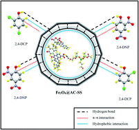 Graphical abstract: Development of a new efficient and economical magnetic sorbent silicone surfactant-based activated carbon for the removal of chloro- and nitro-group phenolic compounds from contaminated water samples