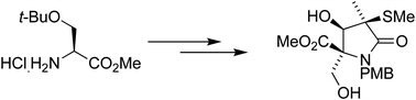 Graphical abstract: Formal synthesis of (+)-lactacystin from l-serine