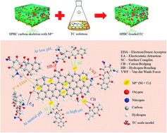 Graphical abstract: High-efficiency adsorption of tetracycline by the prepared waste collagen fiber-derived porous biochar