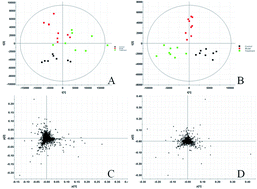 Graphical abstract: Untargeted metabolomics using liquid chromatography coupled with mass spectrometry for rapid discovery of metabolite biomarkers to reveal therapeutic effects of Psoralea corylifolia seeds against osteoporosis