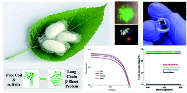 Graphical abstract: Nanopatterned silk fibroin films with high transparency and high haze for optical applications