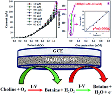 Graphical abstract: Detection of toxic choline based on Mn2O3/NiO nanomaterials by an electrochemical method