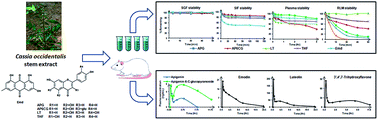 Graphical abstract: Simultaneous quantification of five biomarkers in ethanolic extract of Cassia occidentalis Linn. stem using liquid chromatography tandem mass spectrometry: application to its pharmacokinetic studies