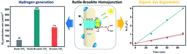 Graphical abstract: Insights into a rutile/brookite homojunction of titanium dioxide: separated reactive sites and boosted photocatalytic activity
