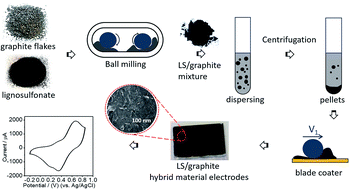Graphical abstract: Scalable lignin/graphite electrodes formed by mechanochemistry