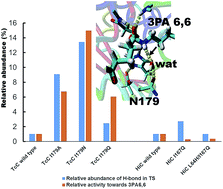 Graphical abstract: Switched reaction specificity in polyesterases towards amide bond hydrolysis by enzyme engineering